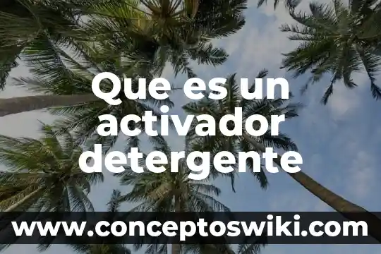 Que es el culturismo 7 Que es un activador detergente