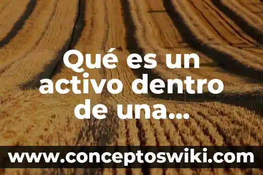 Que es el resultado dentro de una investigacion de mercados 8 QuƩ es un activo dentro de una empresa