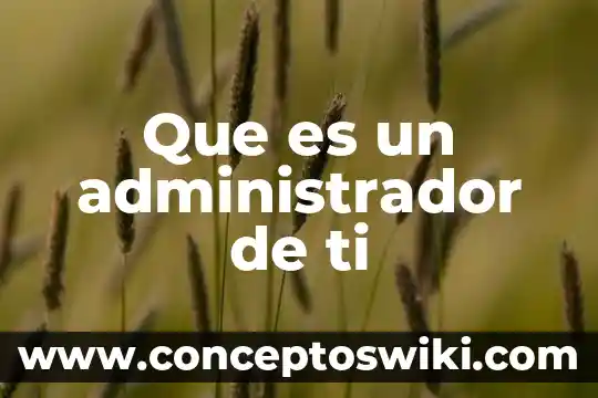 Que es el administrador de color 5 Que es un administrador de ti