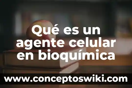Qué es el poro celular animal 6 Qué es un agente celular en bioquímica