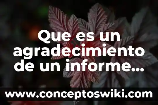 Que es el informe de detecion inicial 6 Que es un agradecimiento de un informe de investigacion