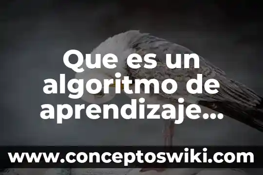 Qué es una barrera de aprendizaje 8 Que es un algoritmo de aprendizaje supervisada