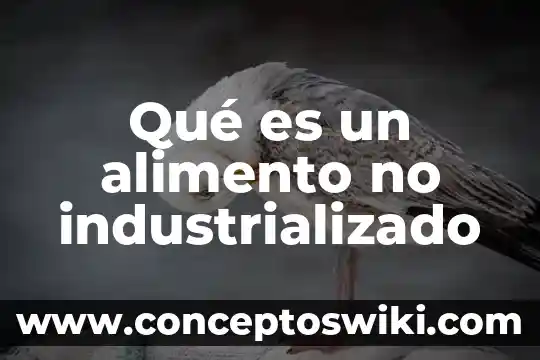 Que es el alimento crecilac 4 Qué es un alimento no industrializado