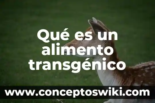 Que es el alimento crecilac 3 Qué es un alimento transgénico
