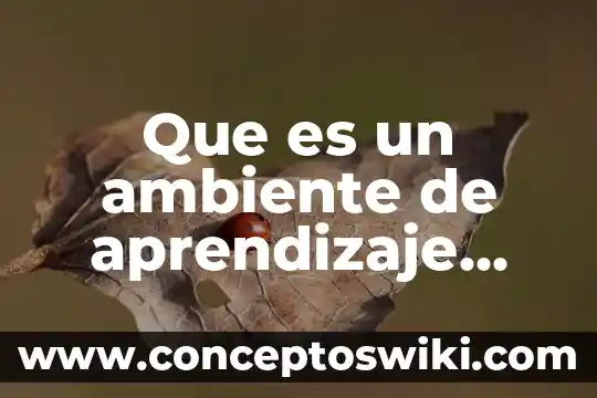 Que es la protección al ambiente 8 Que es un ambiente de aprendizaje inicial observacion