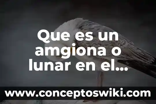 Que es el modulo lunar significado en ingles 5 Que es un amgiona o lunar en el cuerpo