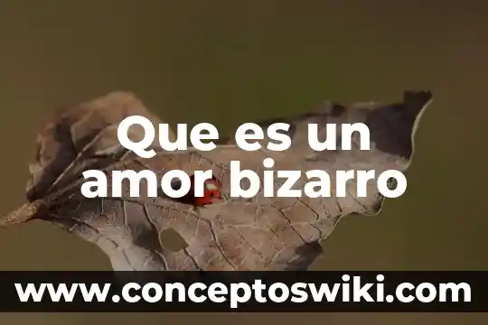 Amarre construcción que es 6 Que es un amor bizarro