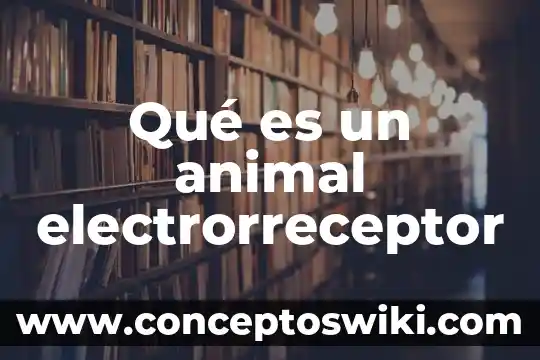Que es la segadora animal 4 Qué es un animal electrorreceptor
