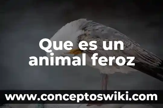 Que es el animal libro 4 Que es un animal feroz
