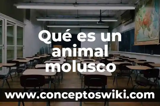 Que es la globalizacion y salud animal informacion 5 QuƩ es un animal molusco
