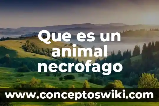 Que es la segadora animal 5 Que es un animal necrofago