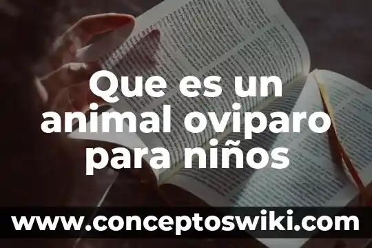 Que es la nutricion concepto para niños 5 Que es un animal oviparo para niños