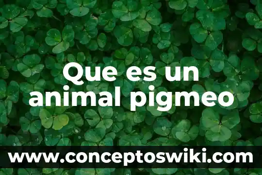Qué es el animal estornino 3 Que es un animal pigmeo