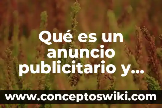 Que es el brief publicitario y sus elementos 8 Qué es un anuncio publicitario y tipos