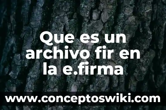 Qué es un archivo key 7 Que es un archivo fir en la e.firma