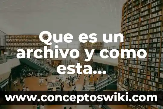 Que es el sistema linfatico y como esta constituido 3 Que es un archivo y como esta constituido