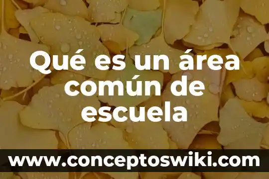 Que es e area de una figura 8 Qué es un área común de escuela