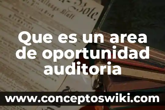 Que es el area de seguridad de un logotipo 6 Que es un area de oportunidad auditoria