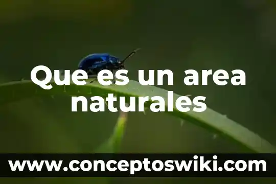 Que es una area esteril 3 Que es un area naturales