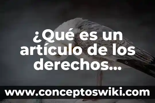 Qué es extrapolación en derechos humanos 5 ¿Qué es un artículo de los derechos humanos?