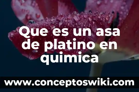 Qué es la coloides en química 4 Que es un asa de platino en quimica
