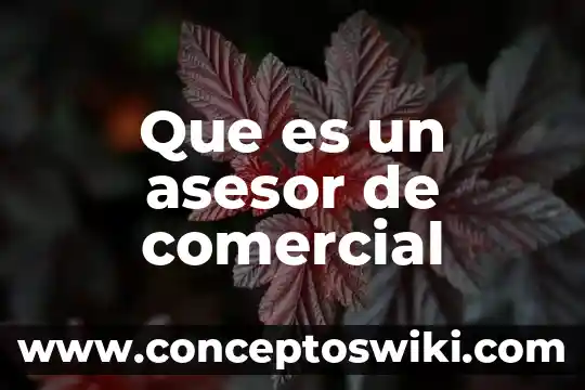 Informe que es autores 5 Que es un asesor de comercial