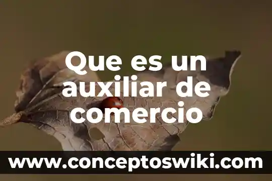 Ytratado del libre comercio que es 7 Que es un auxiliar de comercio