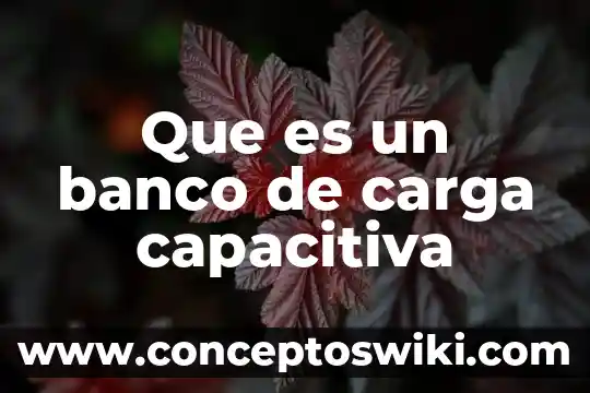 Que es la carga y descarga de buques 6 Que es un banco de carga capacitiva