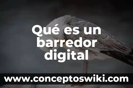 Qué es un accesorio de ciudadanía digital 3 Qué es un barredor digital
