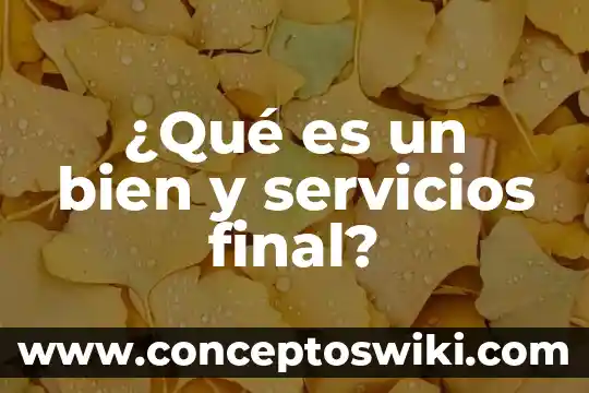 Que es tratar bien a una persona 8 ¿Qué es un bien y servicios final?