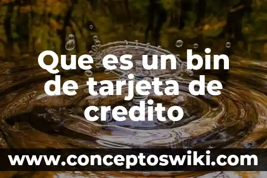 Alias de tarjeta Liverpool que es 5 Que es un bin de tarjeta de credito