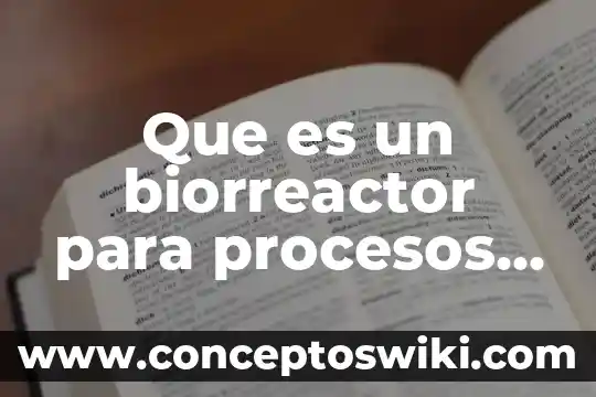Qué es fundamental y procesos tinsón gram 7 Que es un biorreactor para procesos aerobicos