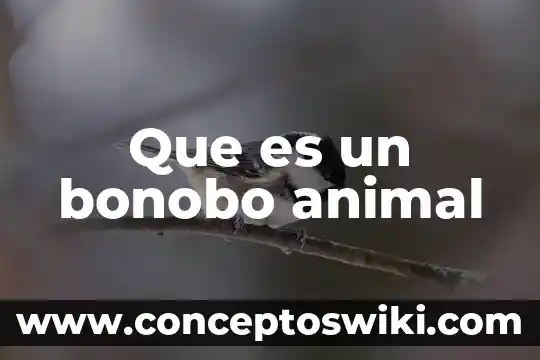Qué es contagio en animal 8 Que es un bonobo animal