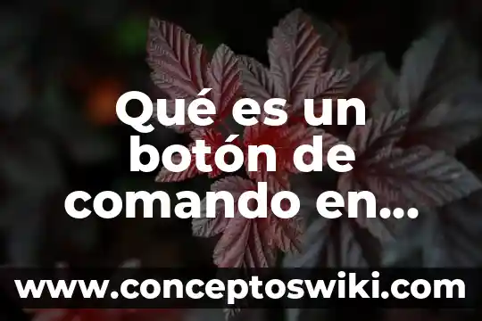 Que es el boton c 8 Qué es un botón de comando en un formulario Access