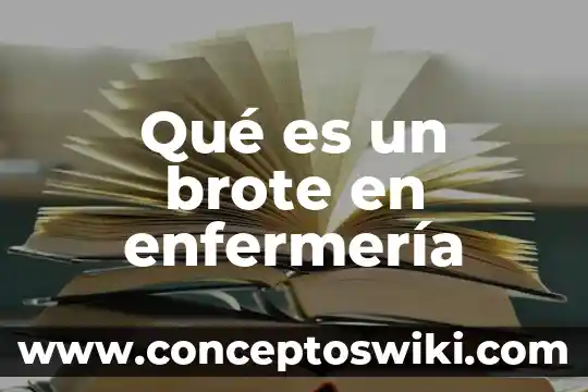 Qué es la enfermería definición con etimología 3 Qué es un brote en enfermería