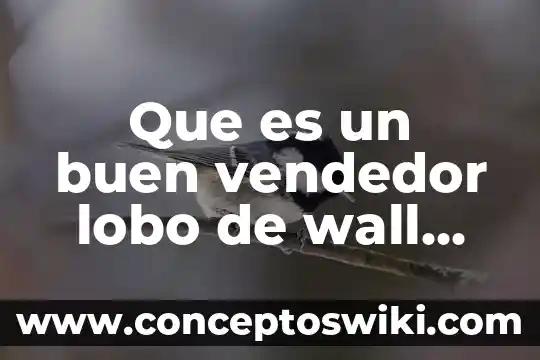Qe significa qe un niño diga que es un lobo 3 Que es un buen vendedor lobo de wall street