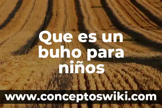 Que es la luna para niños de inicial 4 Que es un buho para niños