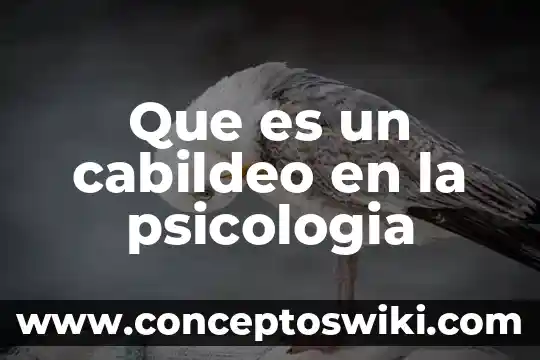 Qué es la psicología cognitiva en niños 5 Que es un cabildeo en la psicologia