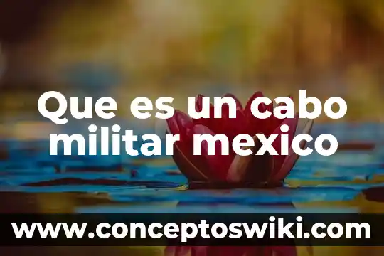 Que es renunciar a ser ciudado y cpnvertirte en militar 3 Que es un cabo militar mexico