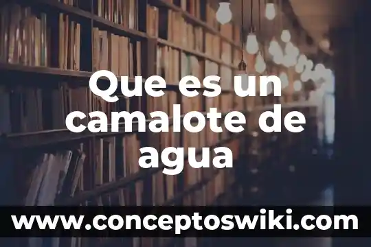 Sangrado como agua que es 7 Que es un camalote de agua