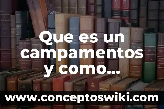 Que es la rnasa como funciona en la bacteria 7 Que es un campamentos y como funciona