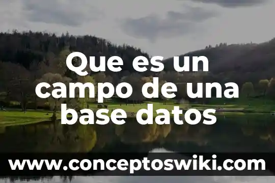 Base de siemiento construir sobre roca que es Cristo 8 Que es un campo de una base datos