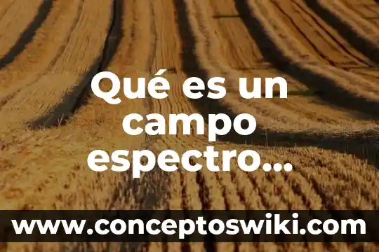 Qué es campo o espectro magnético 5 Qué es un campo espectro magnético en física