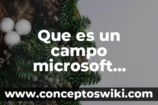 Que es la inserci贸n al campo laboral 3 Que es un campo microsoft access