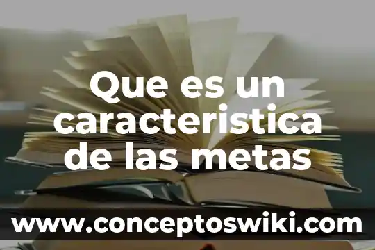 Qué es una característica social 3 Que es un caracteristica de las metas