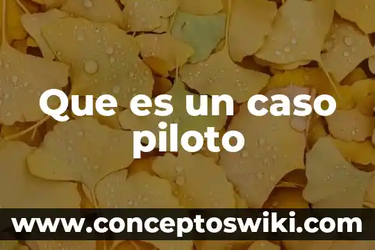 Qué es un sistema piloto 6 Que es un caso piloto