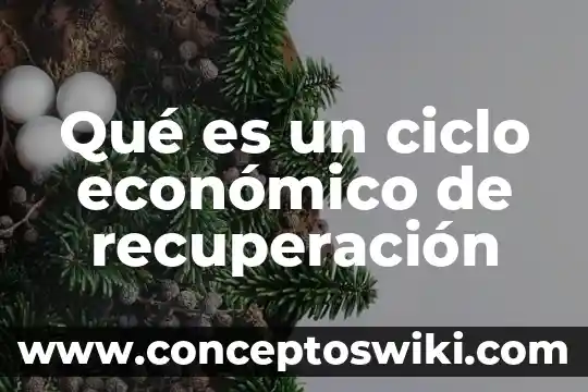 Que es la tasa de recuperación administrativa 3 Qué es un ciclo económico de recuperación