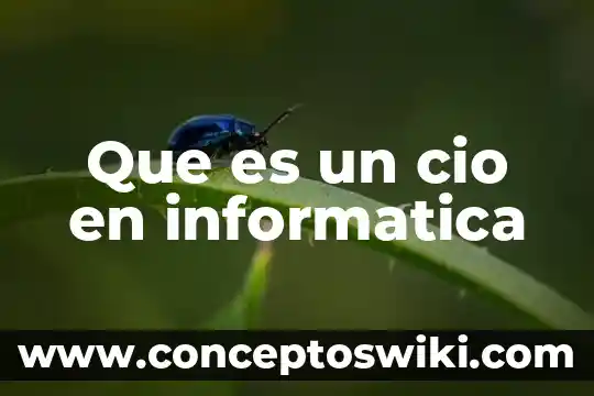 Que es un proceso en informatica 6 Que es un cio en informatica