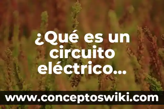 Que es la contaminacion del agua para niños de primaria 4 ¿Qué es un circuito eléctrico analógico?