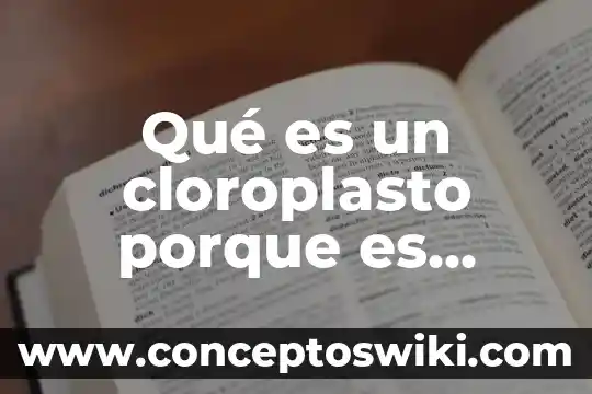 Qué es una célula y tipos de células qué existen 8 Qué es un cloroplasto porque es importante para las células
